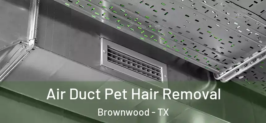  Air Duct Pet Hair Removal Brownwood - TX