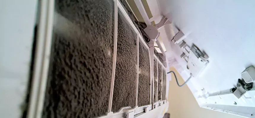 Preventive Air Duct Bacteria Removal in Brownwood