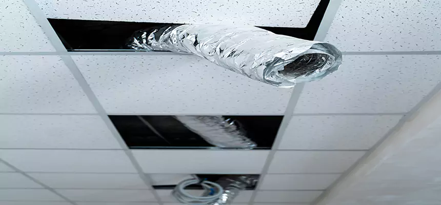 Affordable HVAC Sanitizing After Pest Removal in Brownwood