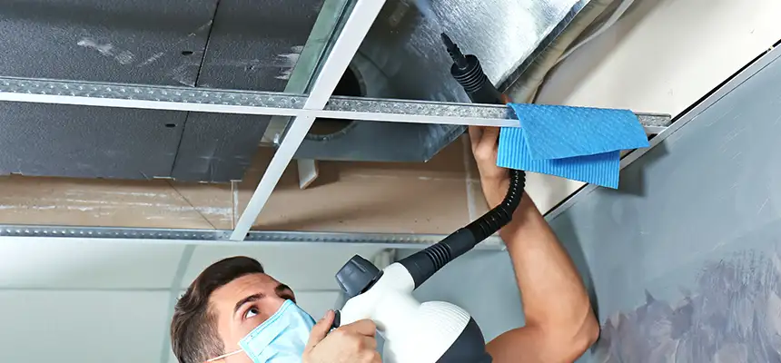 Our Air Duct Rodent Removal Services in Brownwood, TX