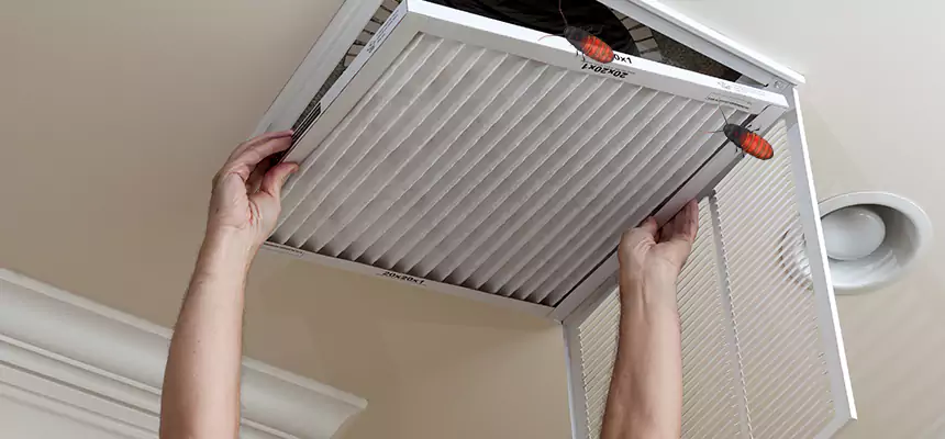 Our Insect Removal from Air Ducts Services in Brownwood, TX