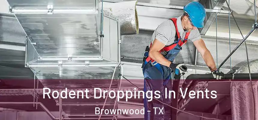 Rodent Droppings In Vents Brownwood - TX