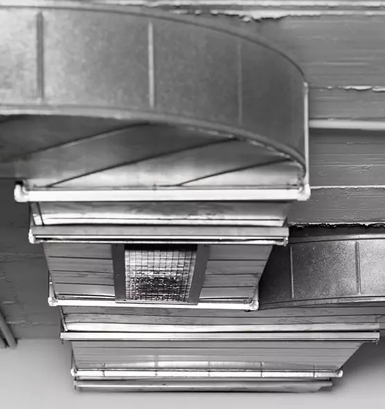 Professional Air Duct Pest Removal in Brownwood, TX