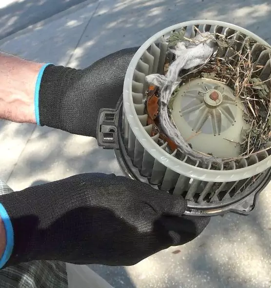 About Air Duct Rat Removal in Brownwood, TX